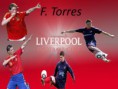 /album/galeria-de-fotos/fernando-torres-jpg/